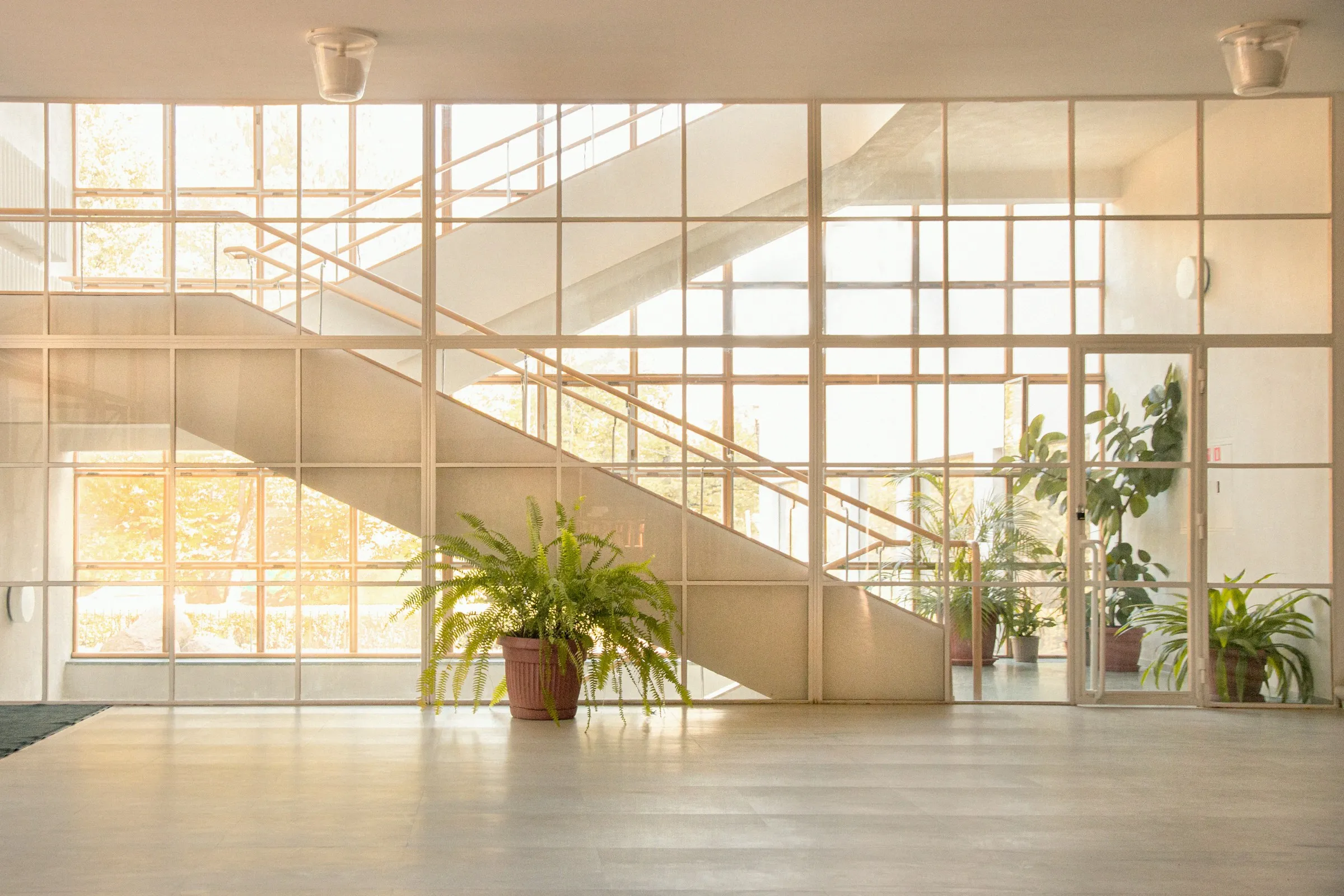 A sunlit atrium with a white staircase, a glass wall, and potted ferns