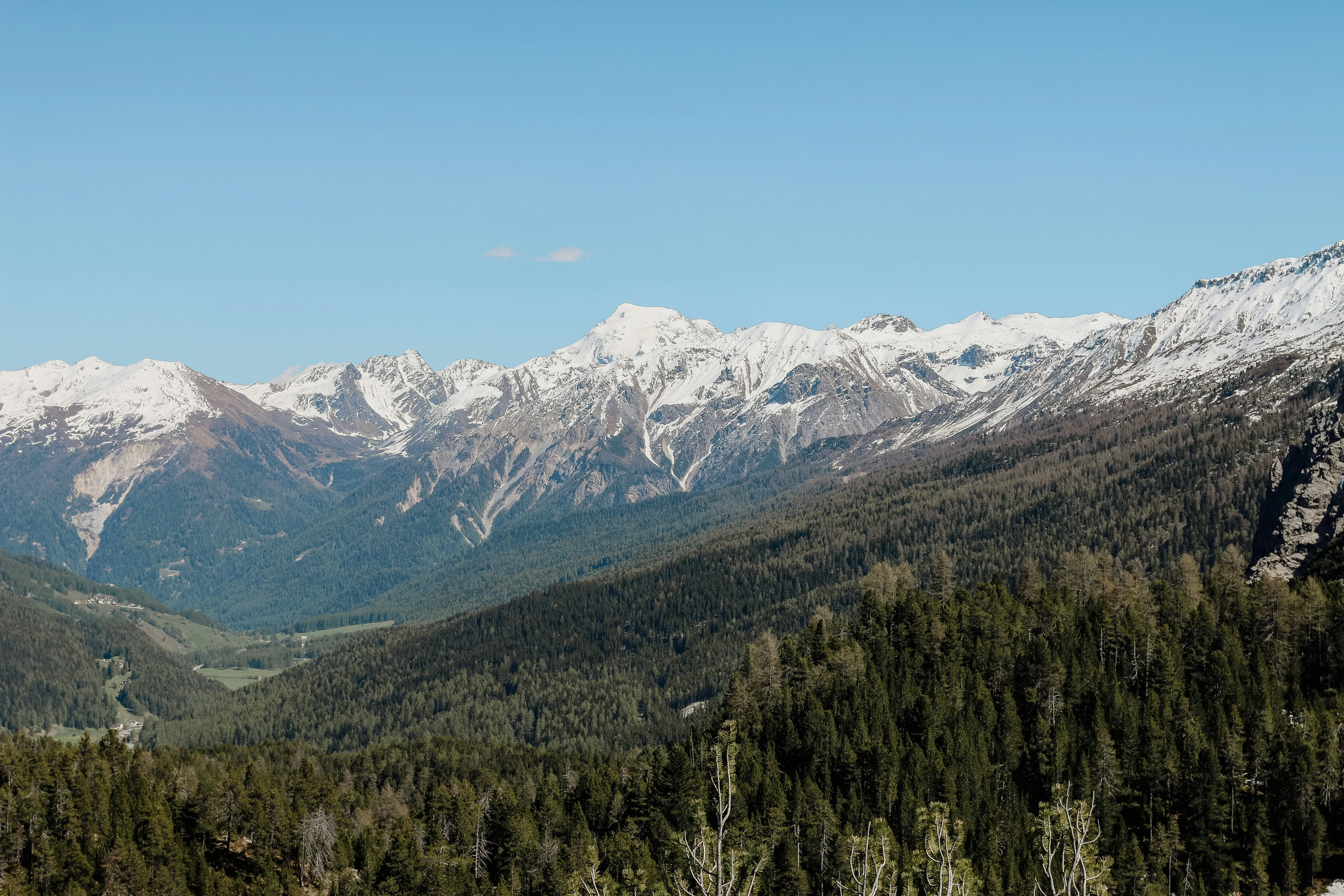 A forested alpine valley beneath snow-covered mountain peaks under a clear sky